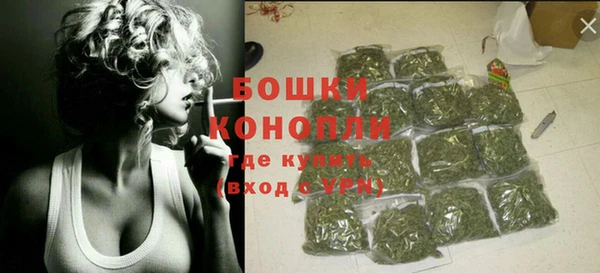молекула духа Пересвет
