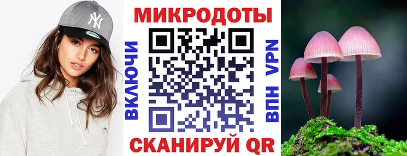 где купить наркоту  Сусуман  Галлюциногенные грибы Cubensis 