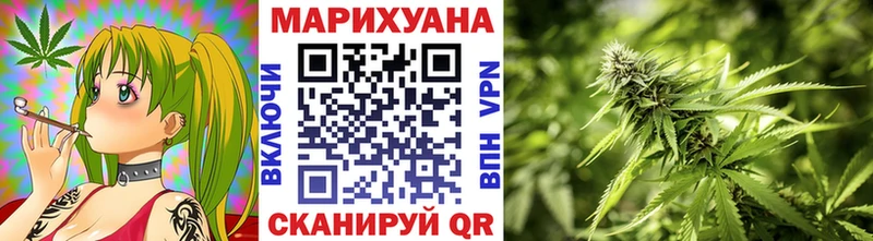 Каннабис конопля  Сусуман 